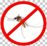 ▶ Уничтожение комаров в Москве от службы DEZMSK. У нас: ✔ Выгодные цены ✔ Гарантия результата ✔ Обработка от комаров на участке по всей МО!