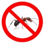 ▶ Уничтожение муравьев в Москве от службы DEZMSK. У нас: ✔ Выгодные цены ✔ Гарантия результата ✔ Обработка от муравьев по всей МО!